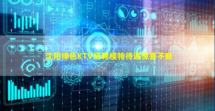 沈阳绿色KTV招聘模特待遇惊喜不断